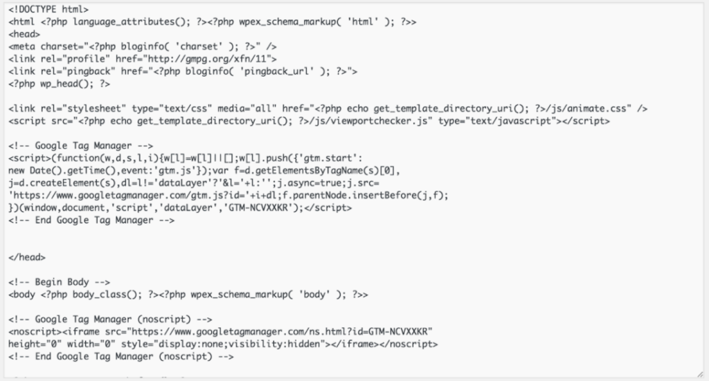 Google Tag Manager Header and Body Tags