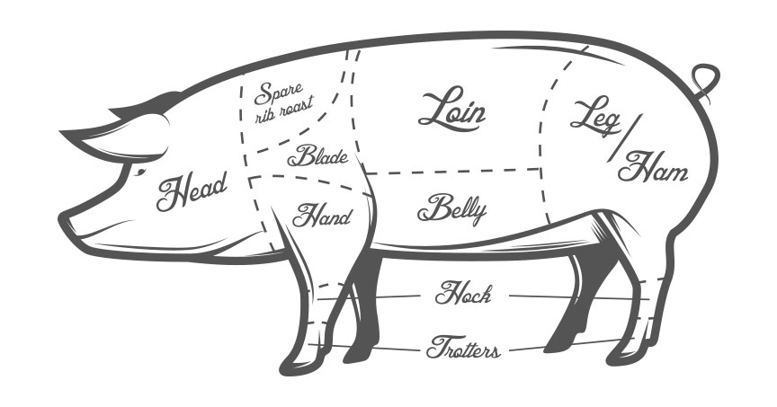 Части туши свинины схема в картинках